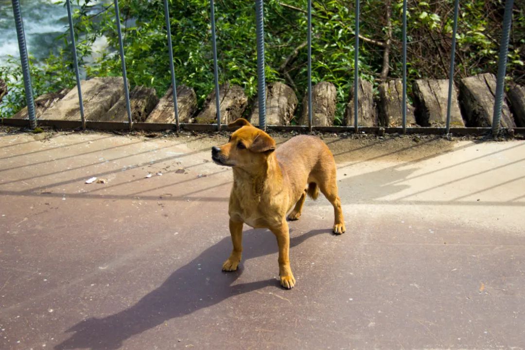 寻访秦岭古村落的感受,探秘秦岭最美空中村落犁辕坪