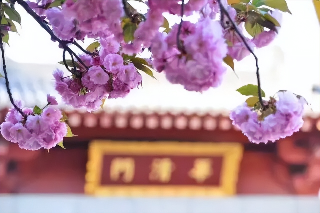 春日来信,春日来信与美好不期而遇