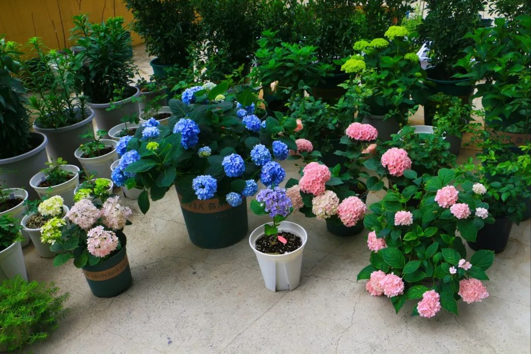 90后郑州房子装修,郑州没钱装修直接入住