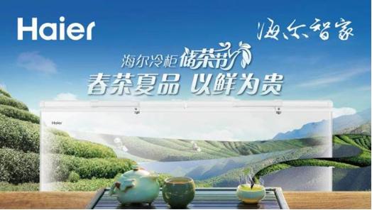 海尔冰柜冷冻多少度最好,海尔冰柜冷冻冷藏图片