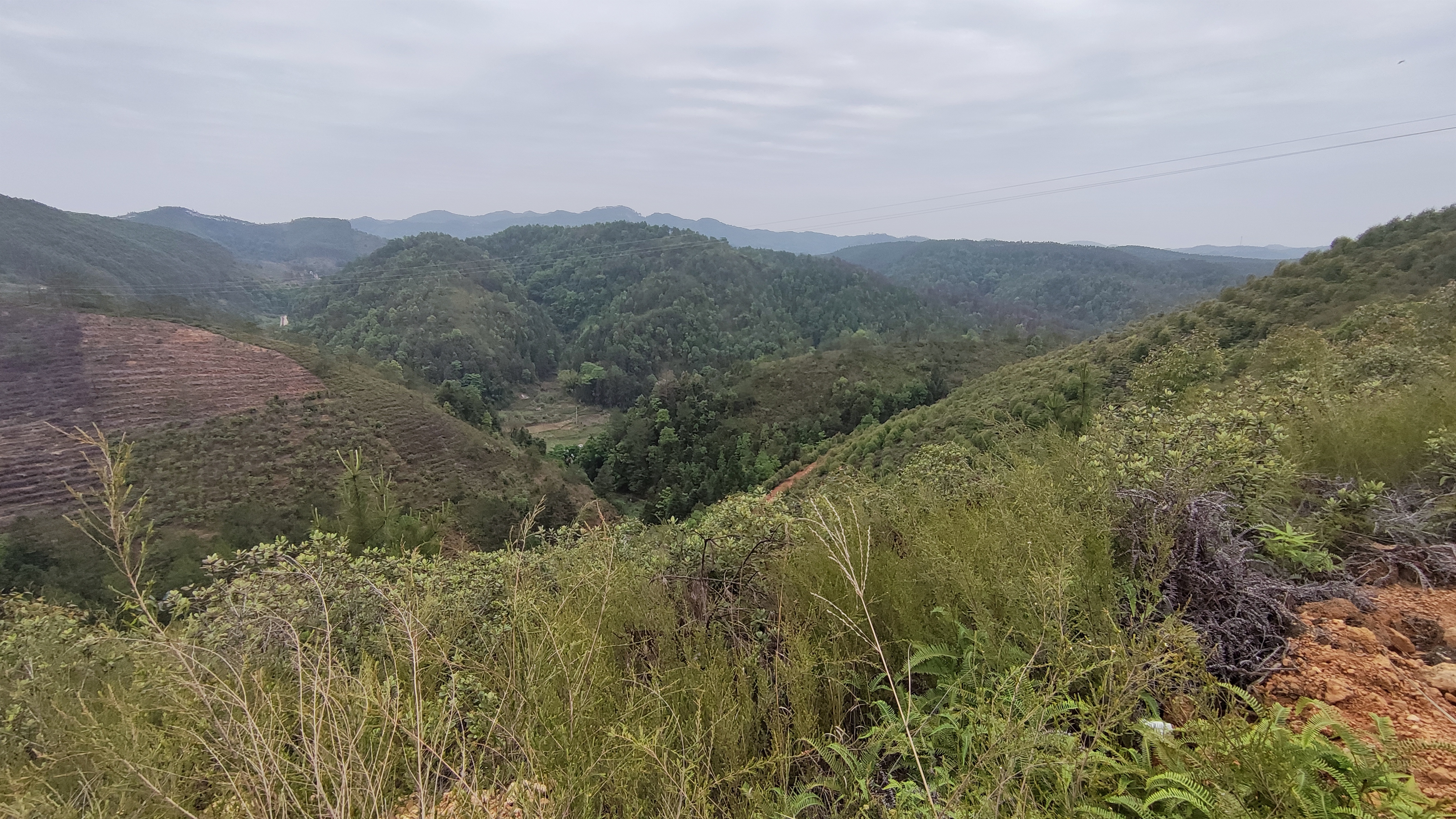 饮水思源的水是什么水,饮水思源的源怎么写