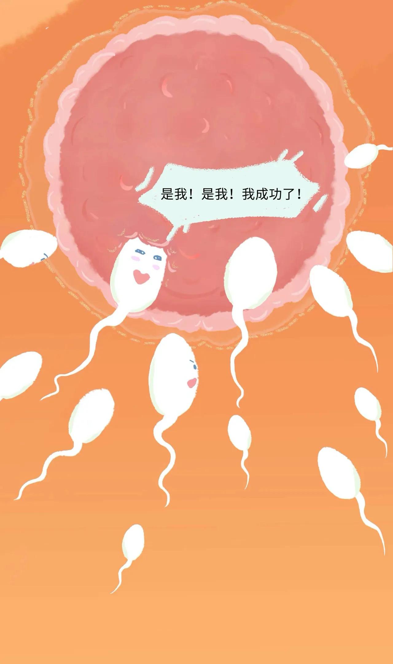 精子进入女生体内的全过程曝光！太励志了吧！