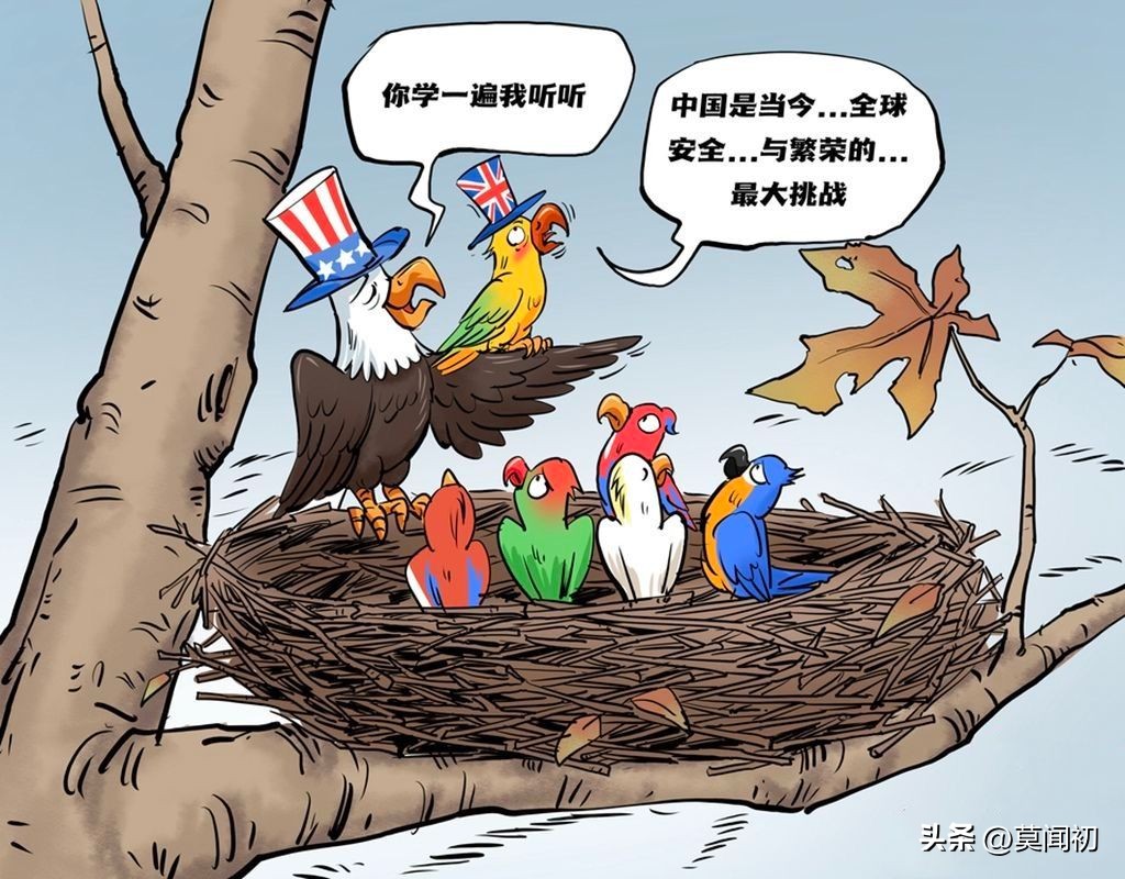 南非回应普京身背逮捕令出席,南非峰会普京