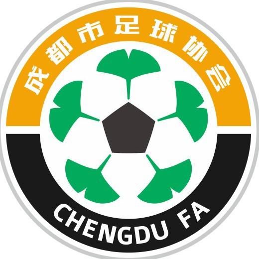 教练员管理体系,教练系统培训