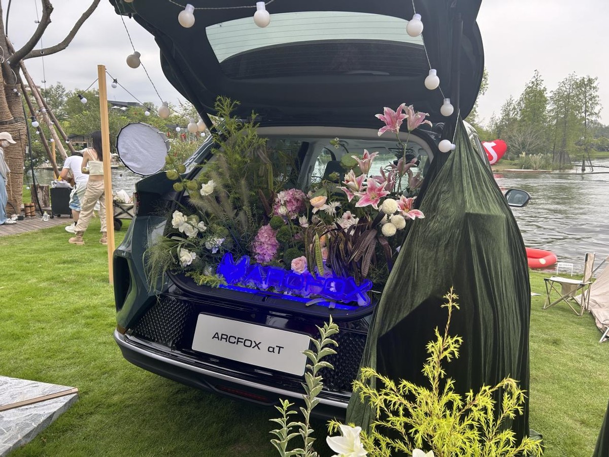 带你户外享受森林氧吧,天然森林氧吧露营