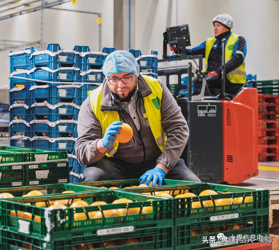 全国最大的果蔬批发市场,全球最大水果批发市场