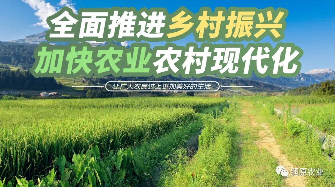 把握好重要环节推动农业绿色发展,坚决推进农业农村绿色发展