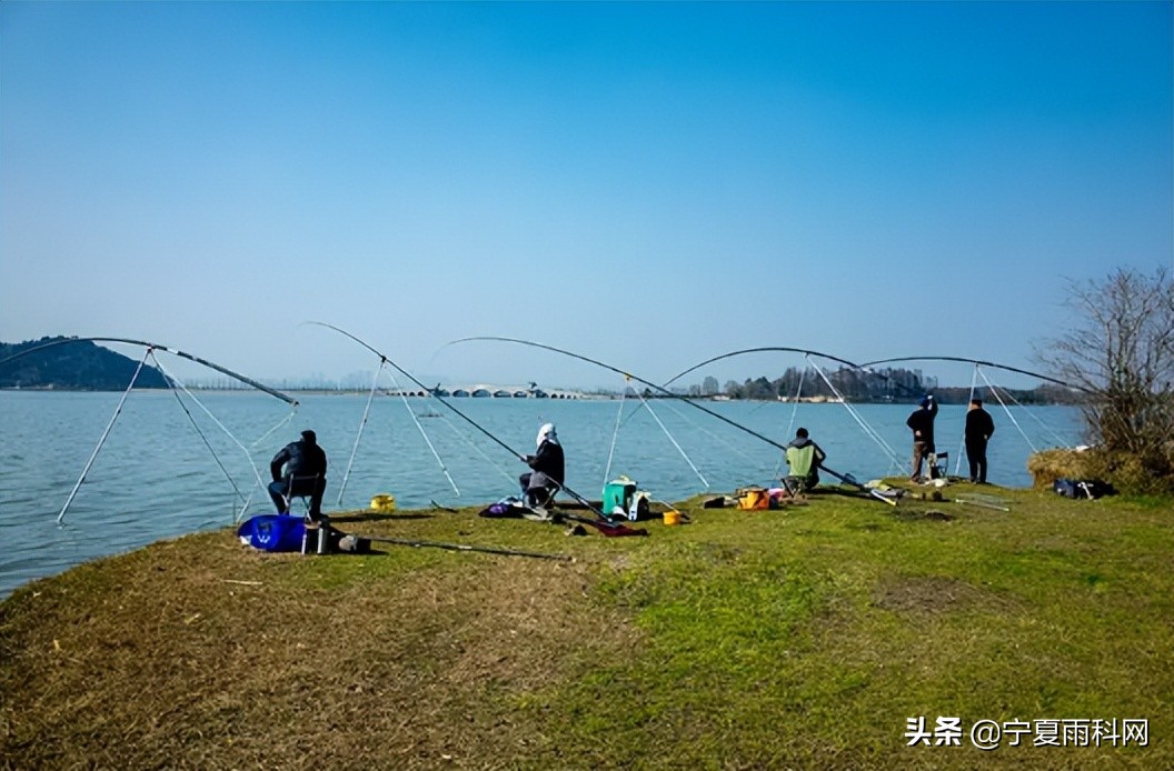 盲盒的乐趣在哪儿,最好的渔具盲盒