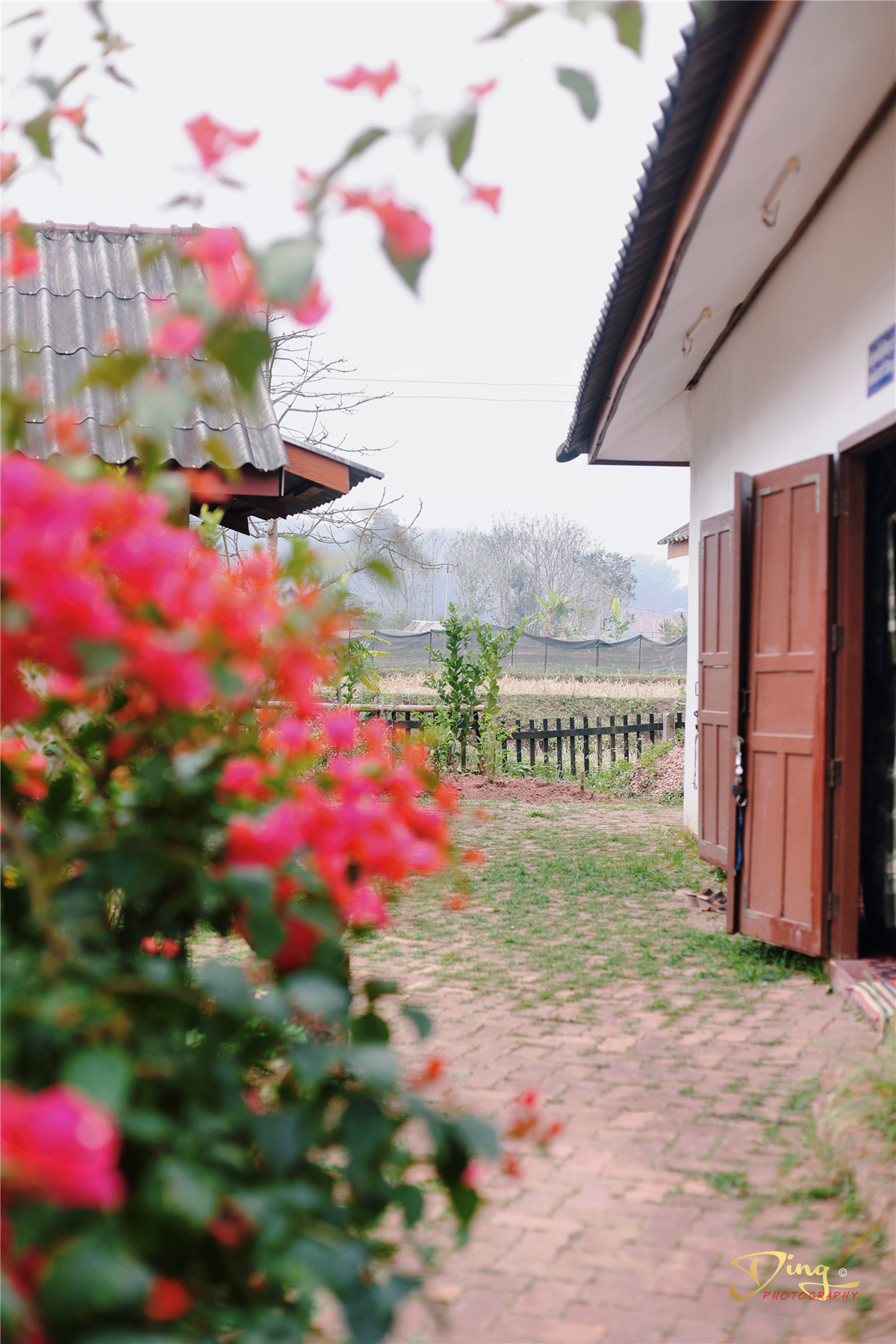 老挝之旅带你了解真实的老挝,去老挝攻略最新