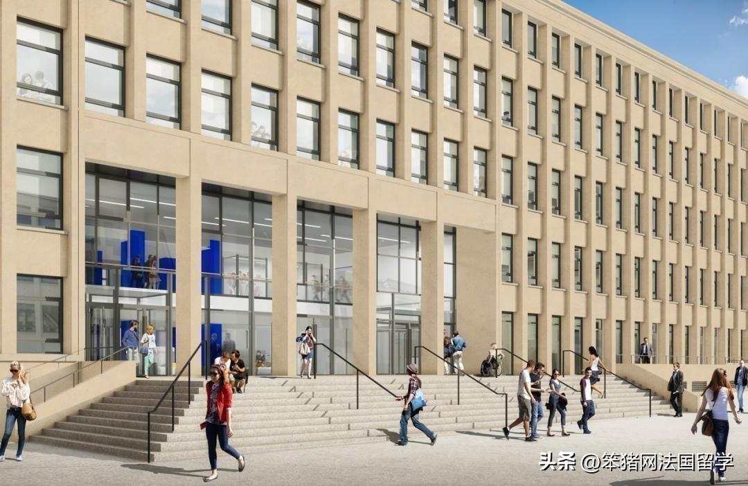 笨猪法语中文,笨猪法语