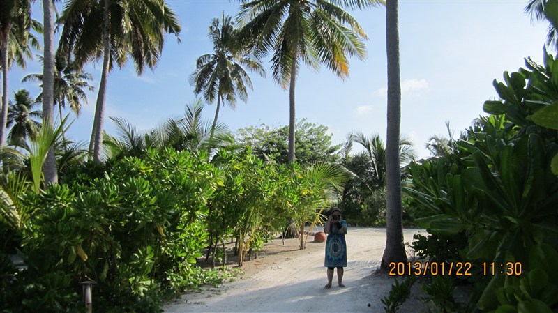 马尔代夫蜜月免费项目,蜜月旅游去马尔代夫哪个岛屿最好