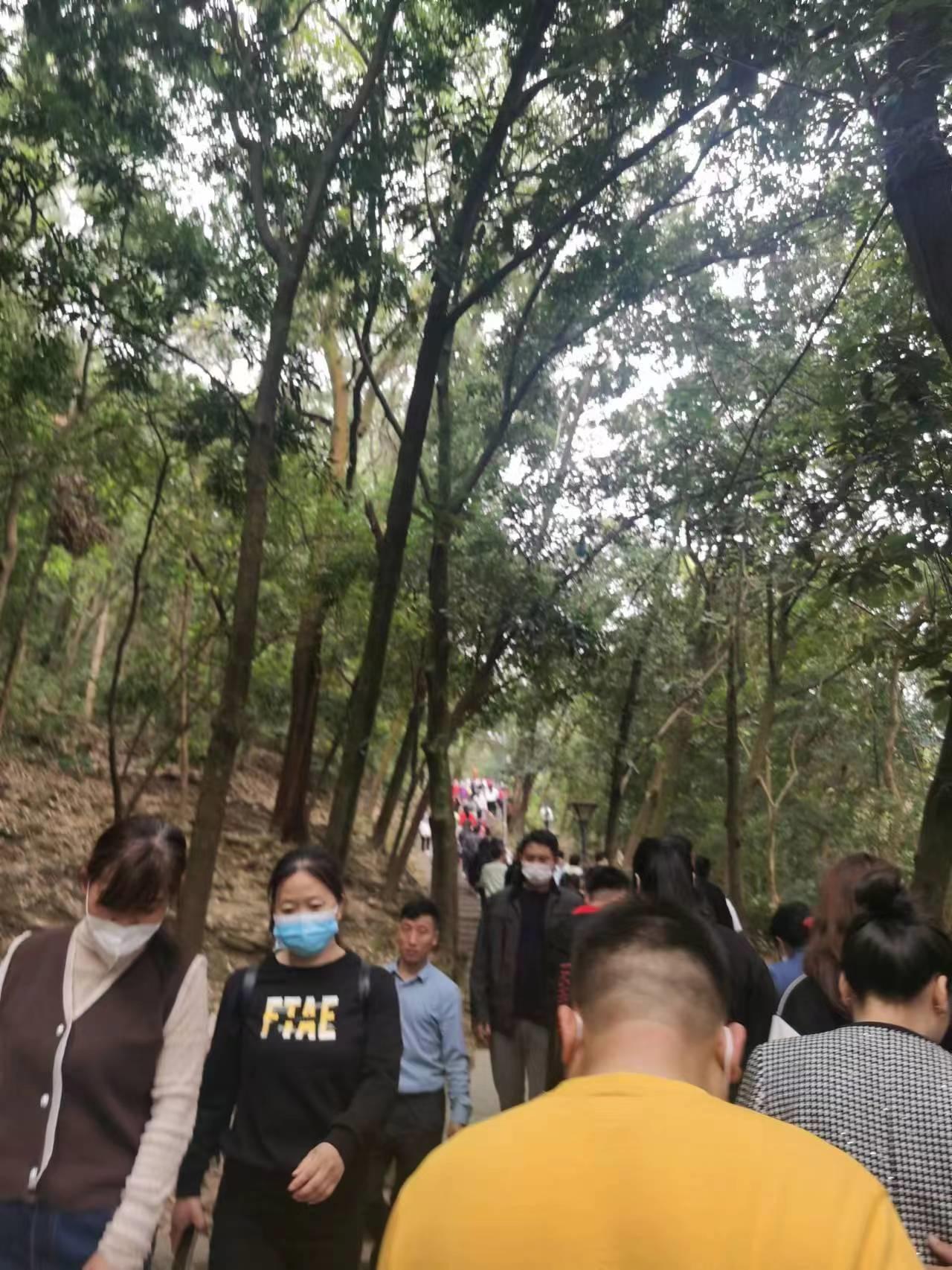 去过深圳凤凰山的人,深圳凤凰山为什么叫凤凰山