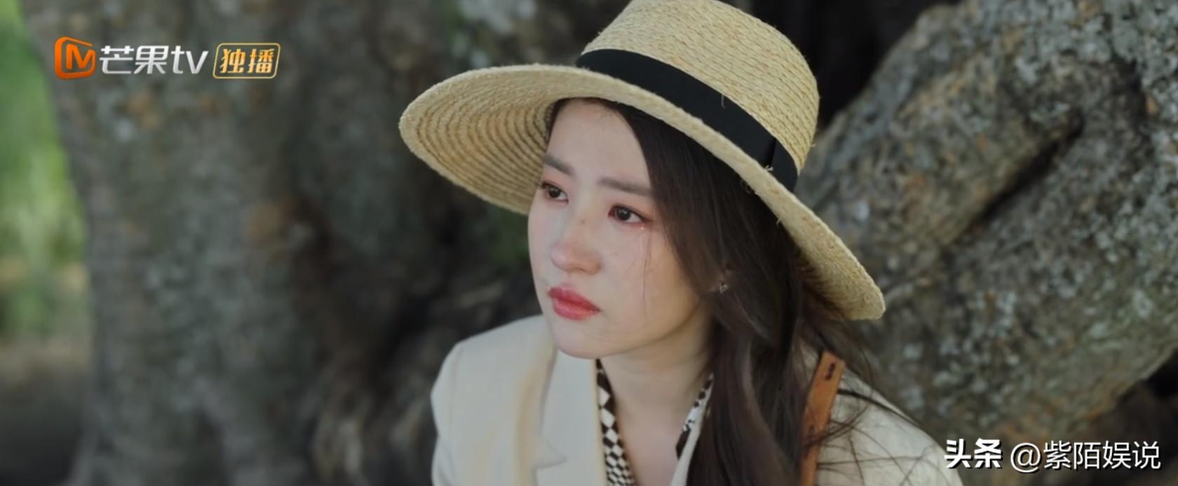 刘亦菲去有风的地方演技吐槽,去有风的地方刘亦菲和其他人同框