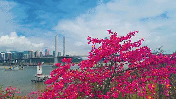 新岛民,新岛民海南生活