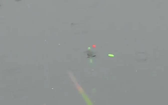 老鼠尾七星漂钓鱼视频,七星漂钓鱼的正确方法是什么