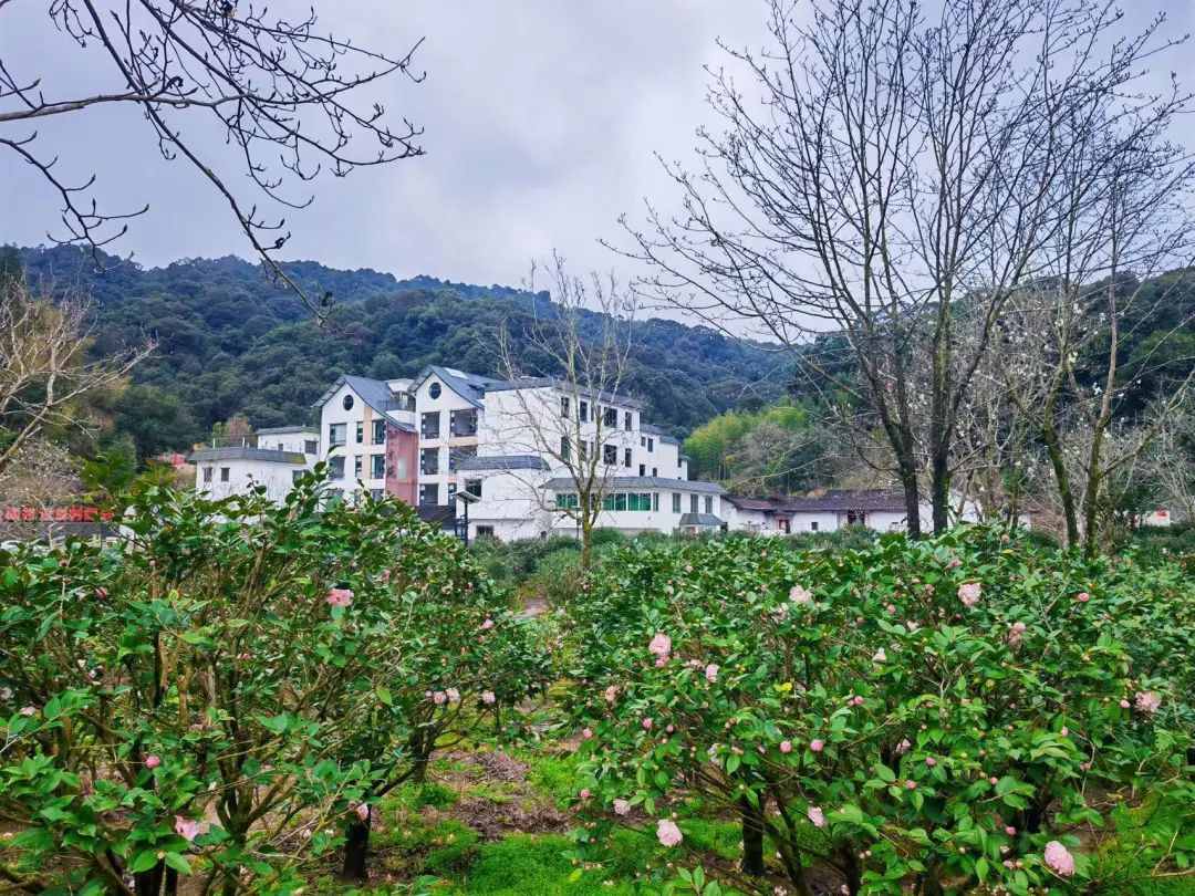 新春攻略生肖派对,新年怎么玩好玩