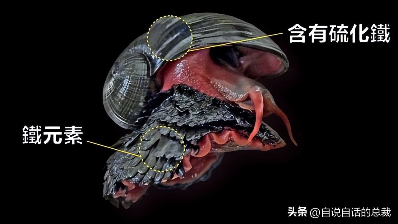 潜入深海寻找宝藏,潜入海底最深处你会发现什么