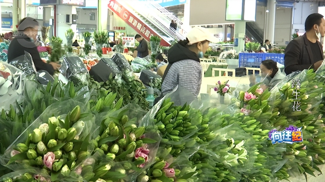 盘点人们都向往的工作,向往的工作和现实的工作