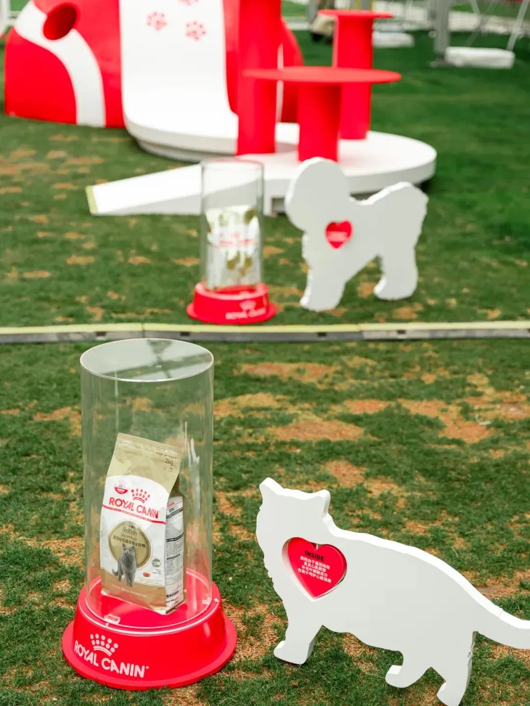 市区100平米宠物游乐园,宠物游乐场室内