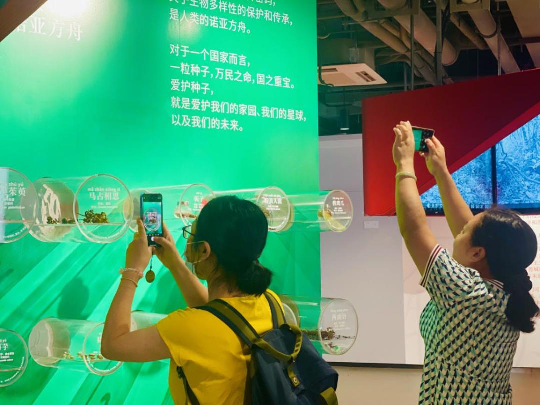 端午假期光明活动超精彩！音乐live、摘荔枝、包粽子……等你解锁！