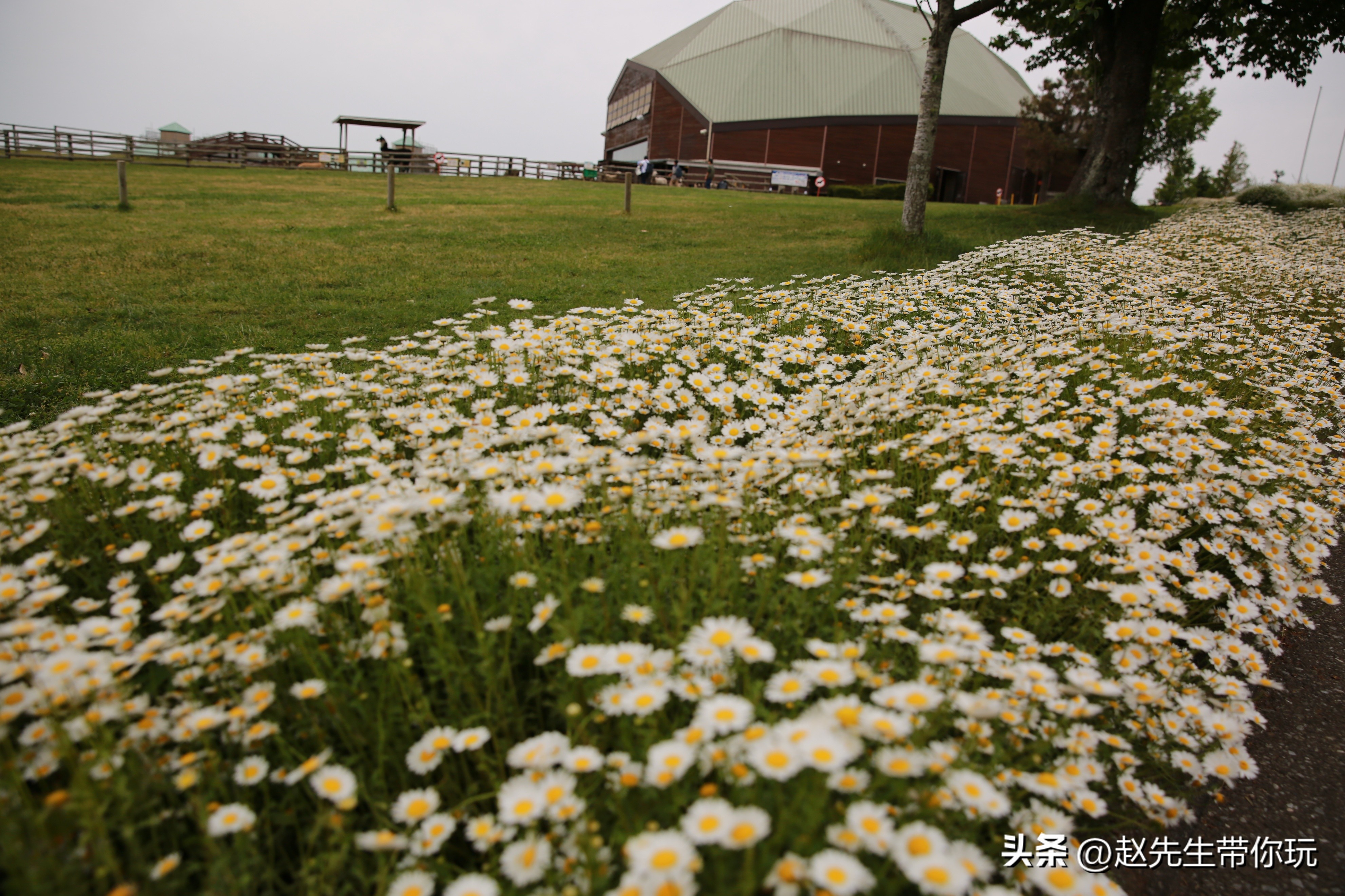 20年旅行总结,二十年游历分享