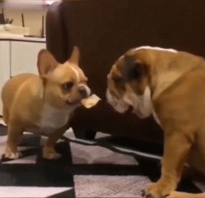 女厕的诡异之处,女厕所发现怪异男尸