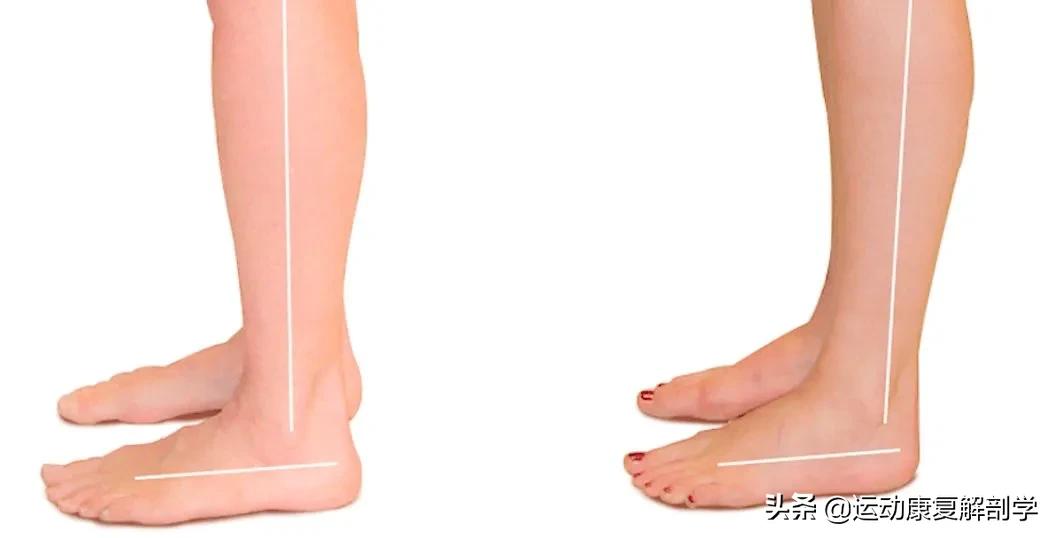 每天拉伸10分钟小腿反而更粗了,小腿拉伸和按摩的方法