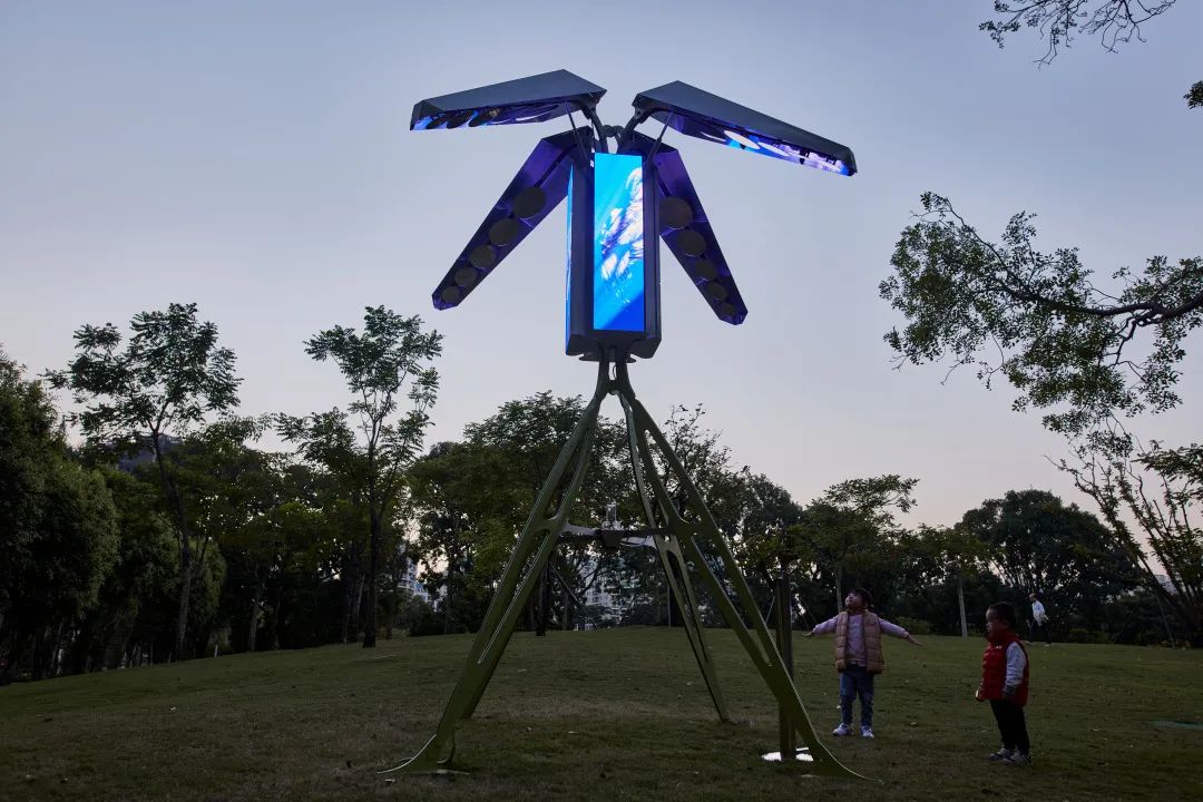 深圳香蜜公园参观指引,深圳光影艺术季攻略