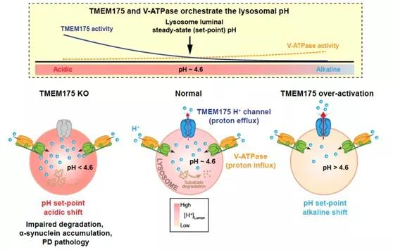 浙江工业大学PK杭州电子科技大学！如何选择？