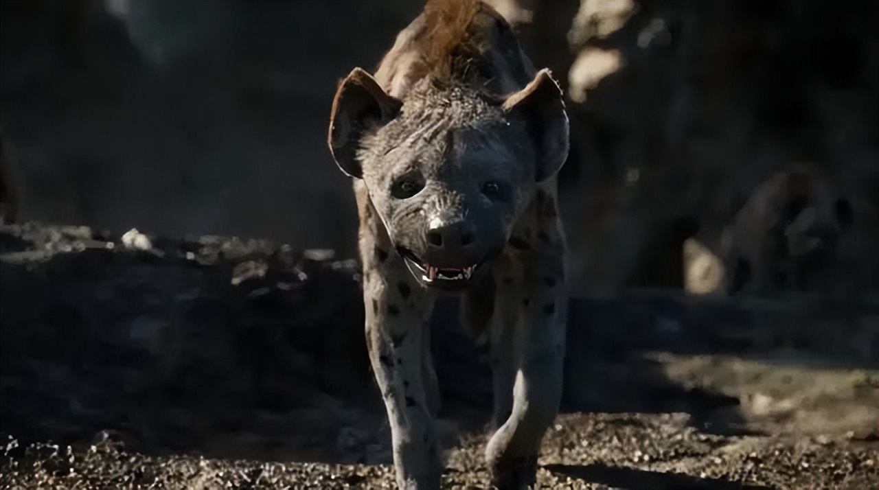 豆瓣评分甄嬛传,甄嬛传豆瓣深度分析