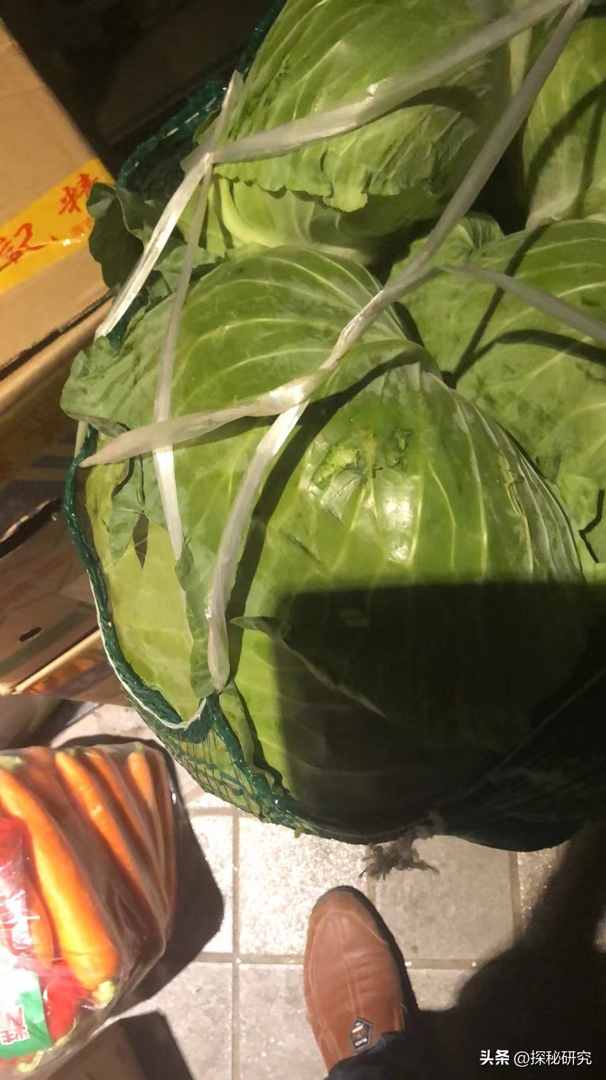 猪肉40一斤是什么原因,猪肉涨到40元一斤为什么