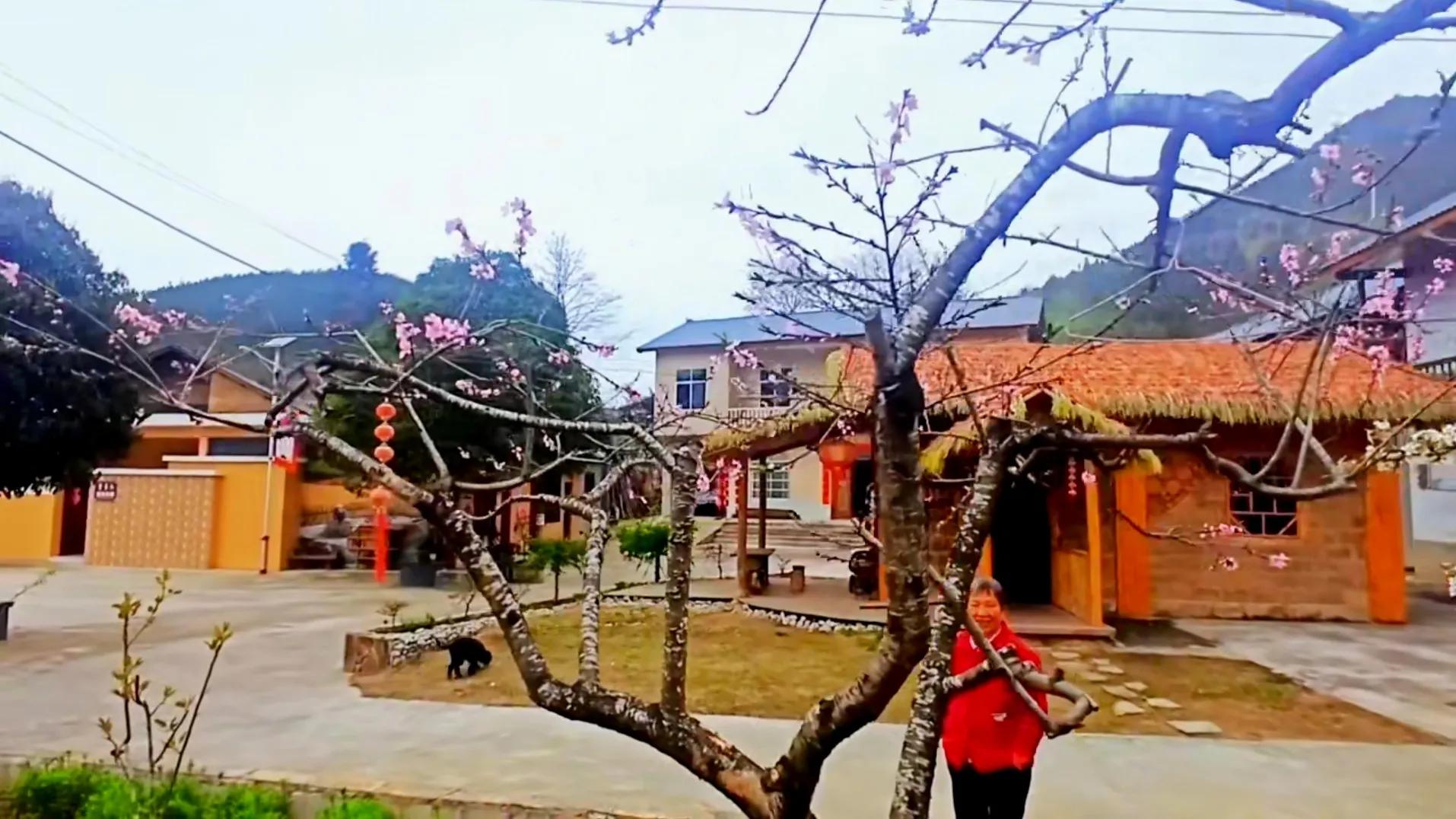 对国家农业补贴断章取义,蛊惑农民对政府不满,用意何在?