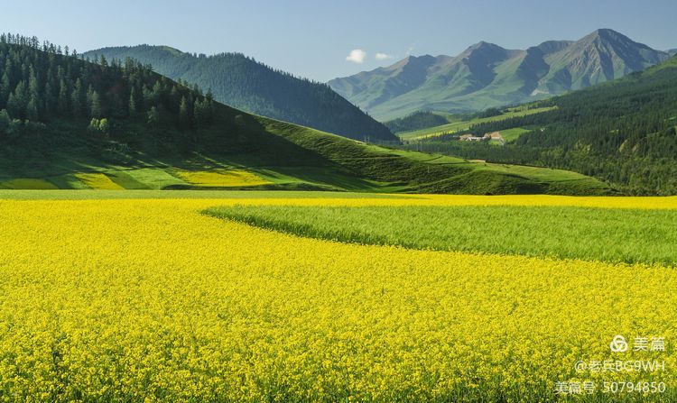 祁连山草原哪里最美,祁连山深处草原