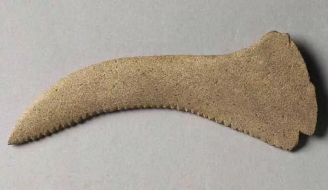 鲁班发明出锯子的故事,锯子真的是鲁班发明的吗