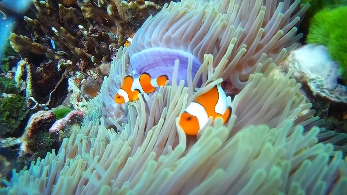 泰国小众海岛,泰国冷门又便宜的海岛