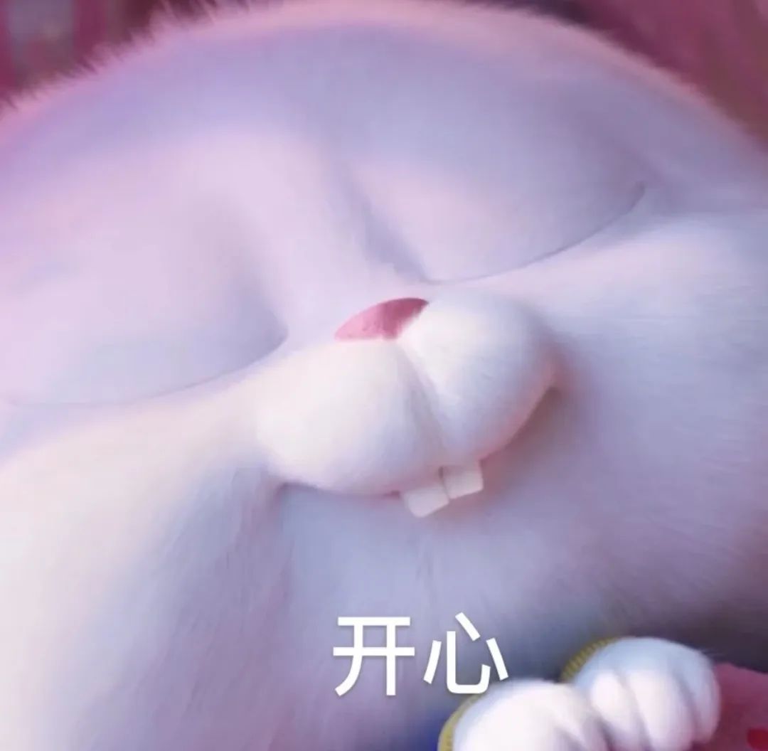 gucci扑克多少钱,gucci扑克