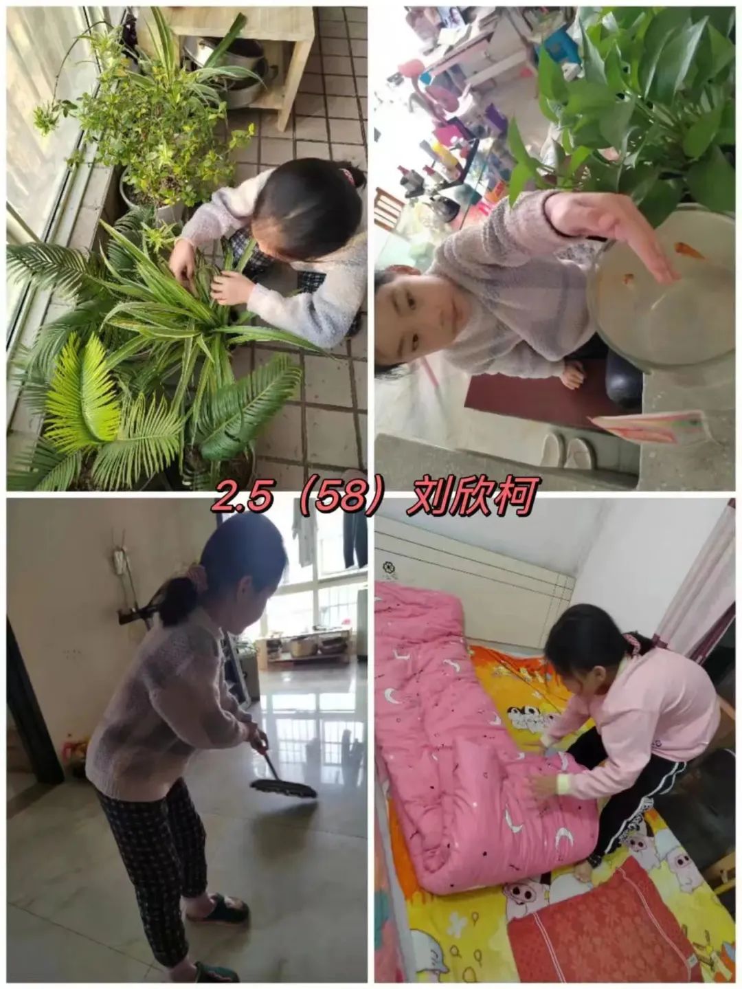 陕科大附小新兴小学2022-2023学年度寒假德育实践作业展