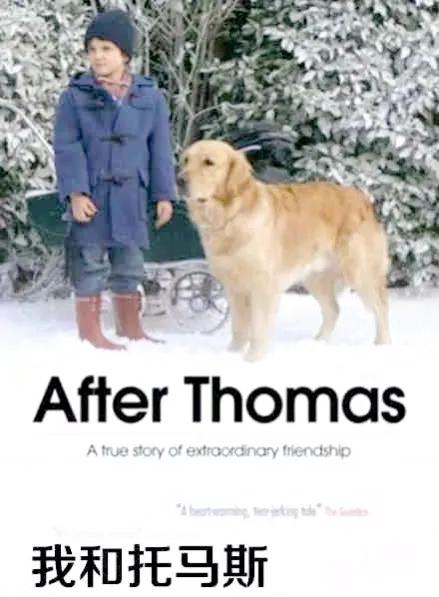 六部自闭症类题材电影推荐,自闭症电影解说