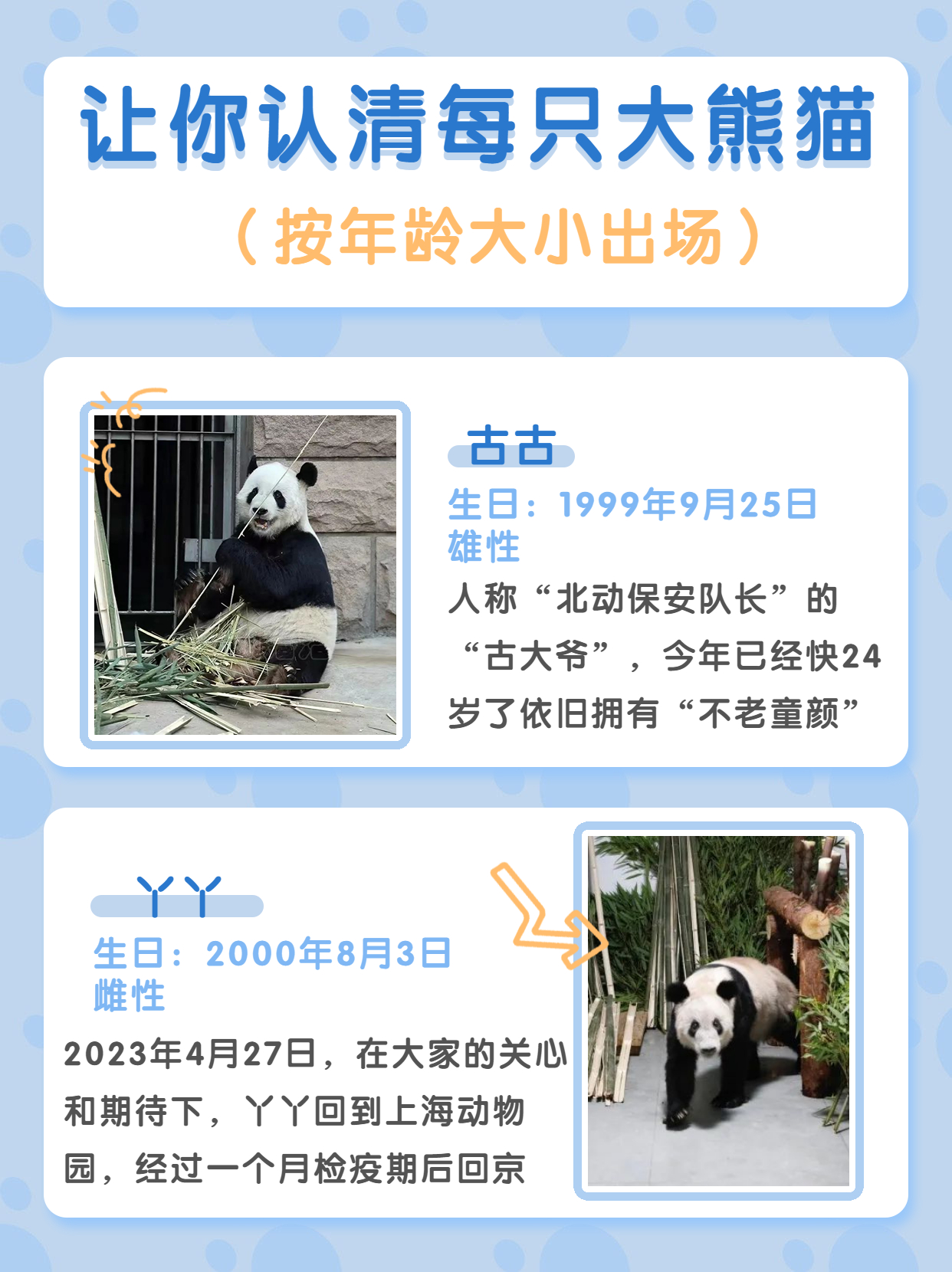 长隆野生动物园行李可以寄存的吗,淹城野生动物园能不能寄存行李