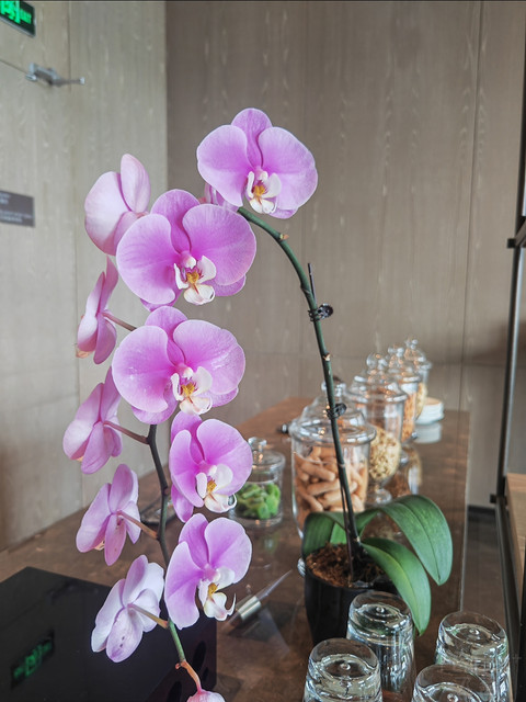 湖景套，单台盆，小浴缸，中式园林度假酒店—无锡蠡湖万豪