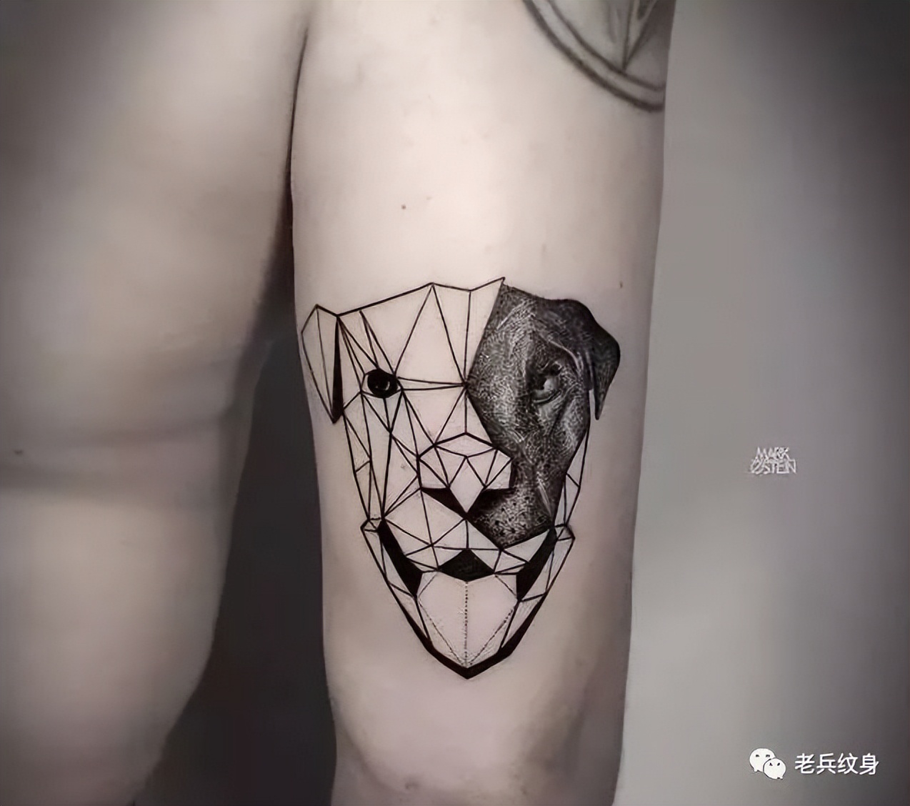 最潮纹身图案大全,十大纹身图案你认识几个