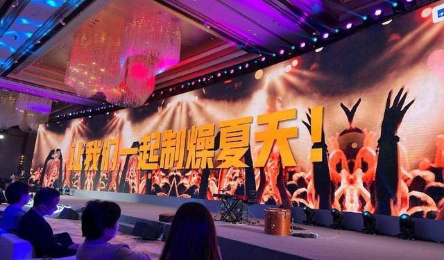 闪光的夏天拟邀阵容什么时候开播,闪光的夏天拟邀阵容