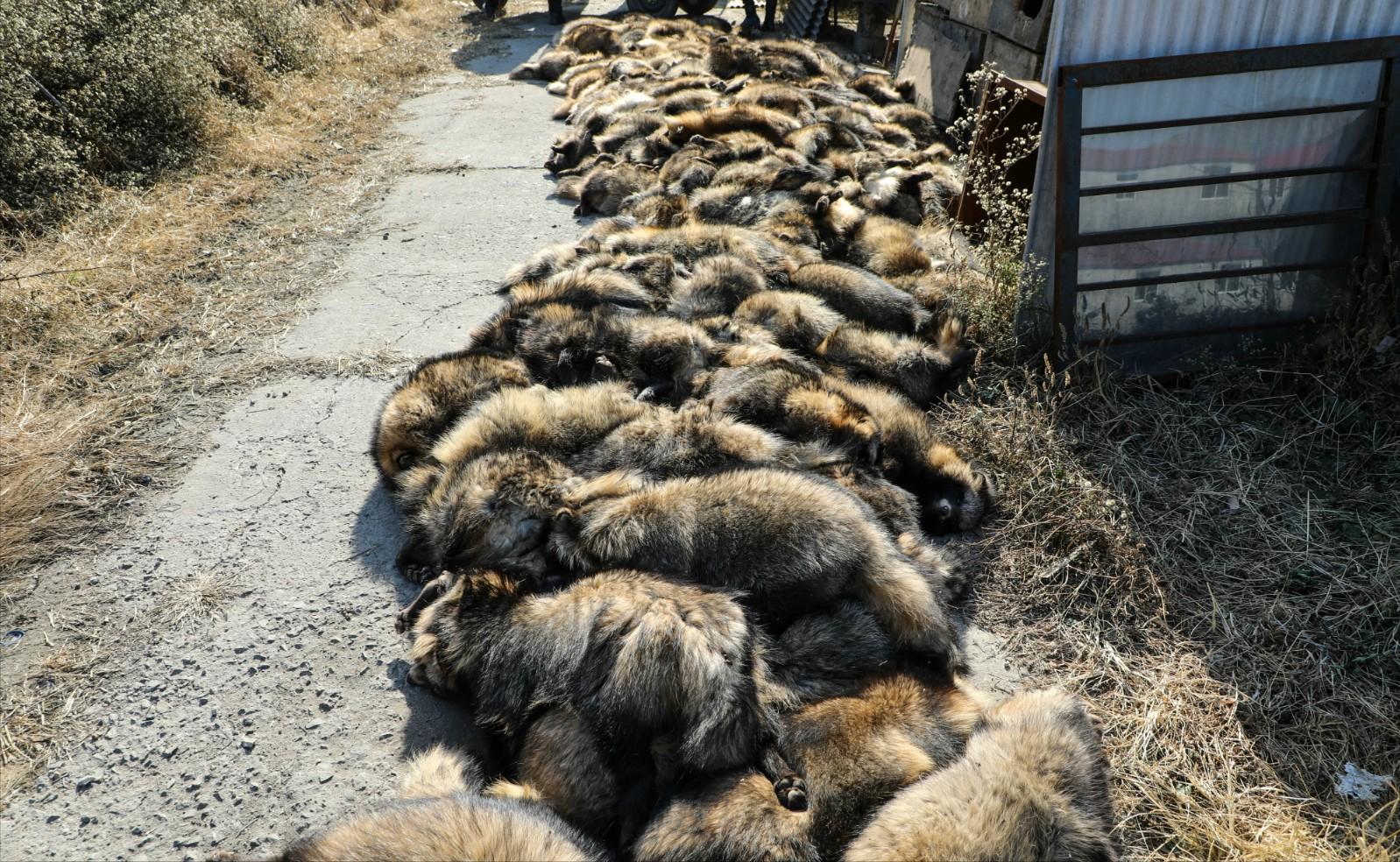 为什么穿皮草的人越来越少,为什么现在穿大衣的人越来越少了