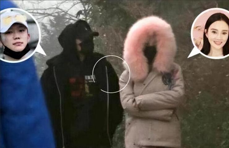 贾乃亮李小璐离婚案件民事判决书,李小璐为什么和贾乃亮离婚