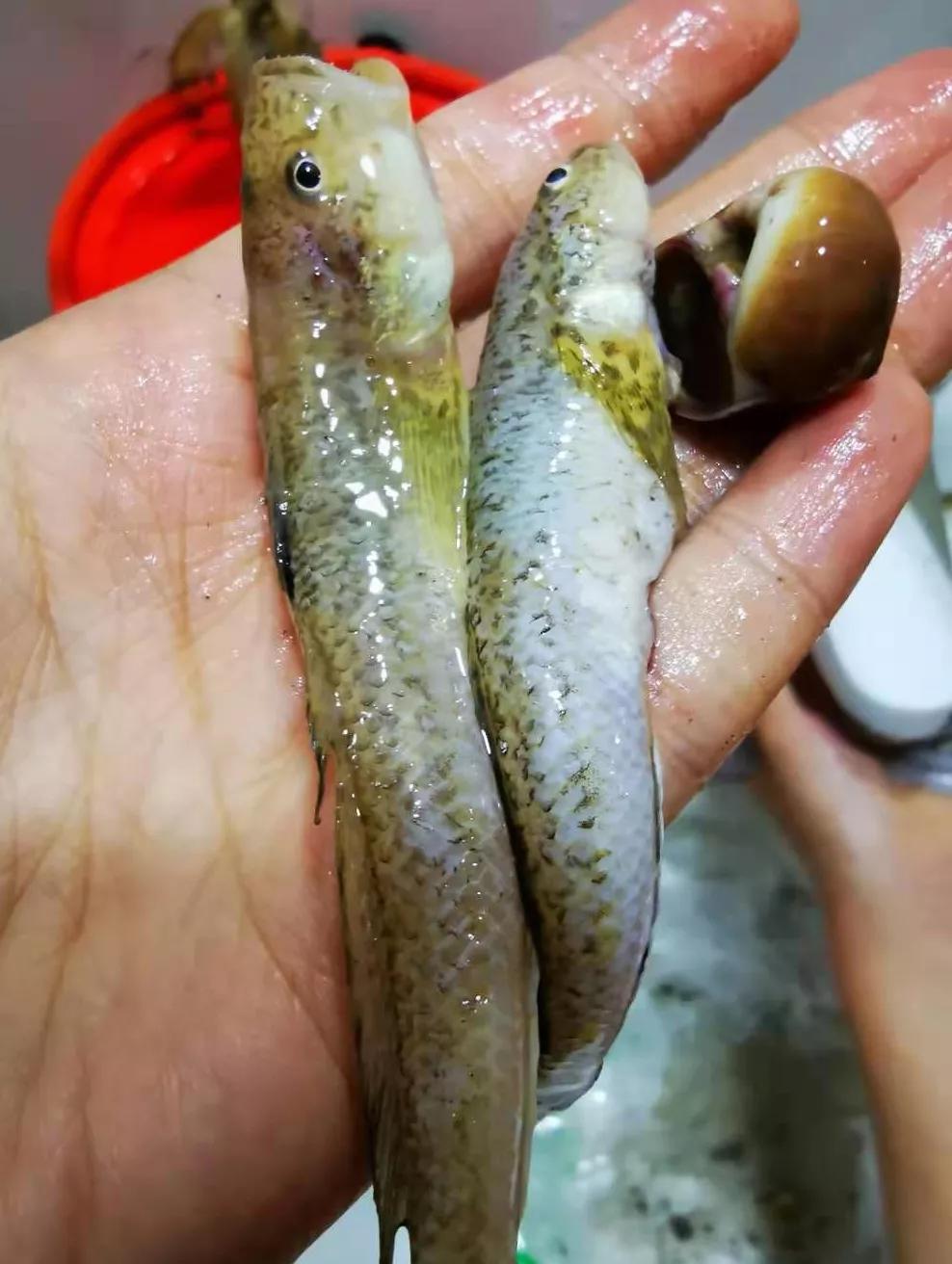 东疆港两日游攻略路线推荐,去东疆港赶海攻略