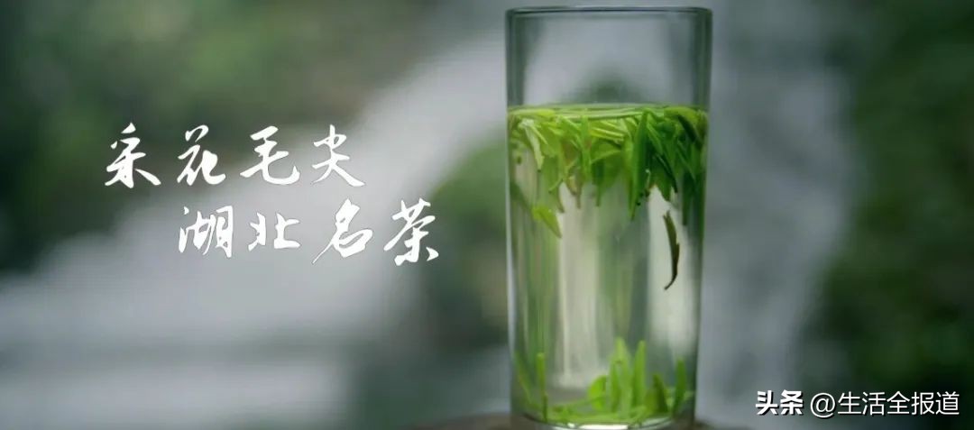 深化对口帮扶||*花采**毛尖：名不虚传的湖北名茶！一盏名茶满口留香