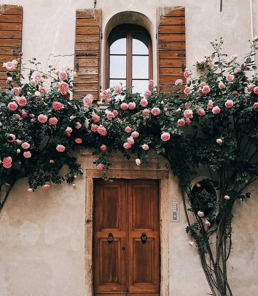 你能说出几个优雅的茶名,茶文化盘点十大唯美茶名