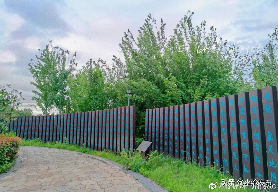 绿荫的夏天，快来解锁李沧这个小众宝藏之地！