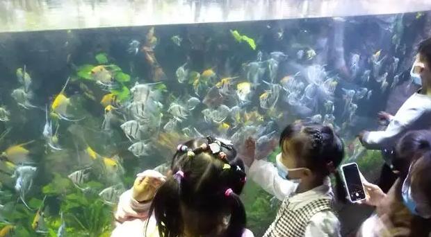 郑州周末遛娃踏青好去处,郑州春季带孩子游玩好去处推荐