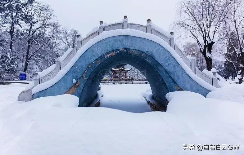 原创迷人的夜,原创冬季恋歌
